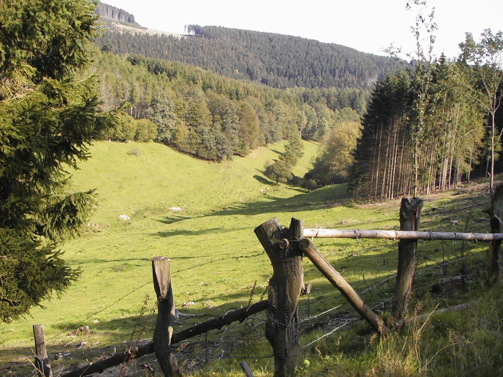 Sonneneck Hotel Winterberg Kültér fotó
