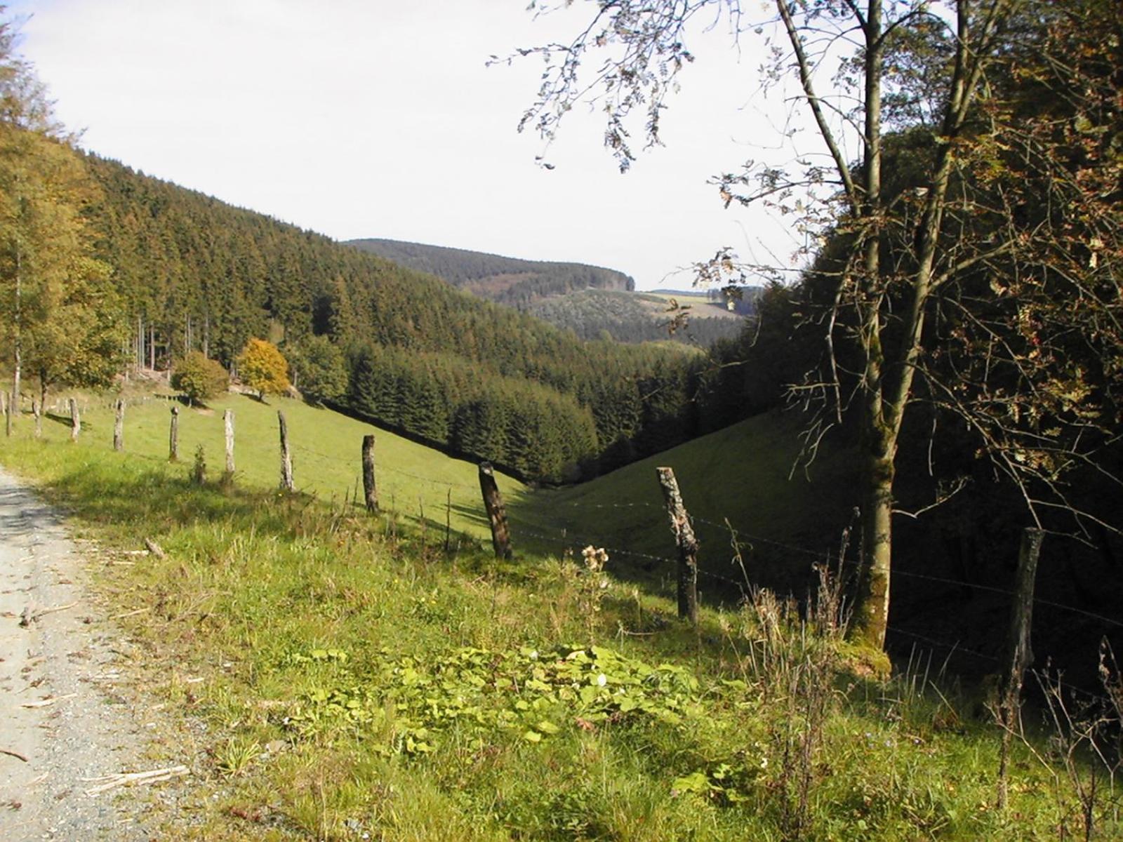 Sonneneck Hotel Winterberg Kültér fotó